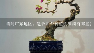 请问广东地区，适合阳台种植的果树有哪些？