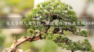 花大全图片及名称，家庭花卉图片及名称100种(1)