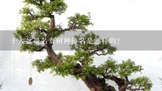 十大盆景名贵树种排名是怎样的？