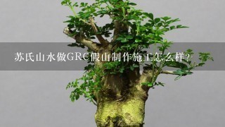 苏氏山水做GRC假山制作施工怎么样？