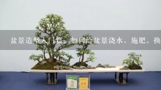 盆景造型入门篇：如何给盆景浇水，施肥，换盆以及其它