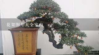 花架图片大全室内