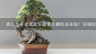 我是专业建造温室蔬菜大棚的还承接厂房钢结构建造有专业的焊工队伍