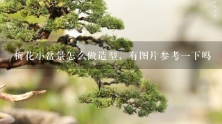 梅花小盆景怎么做造型，有图片参考1下吗