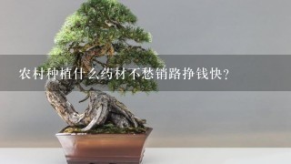 农村种植什么药材不愁销路挣钱快？