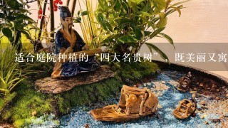 适合庭院种植的“4大名贵树”，既美丽又寓意好，价