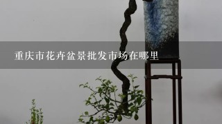 重庆市花卉盆景批发市场在哪里