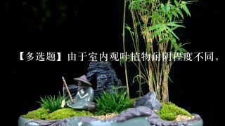 【多选题】由于室内观叶植物耐阴程度不同，可大致将其分为