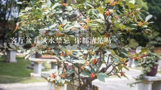 客厅盆栽风水禁忌 你都清楚吗