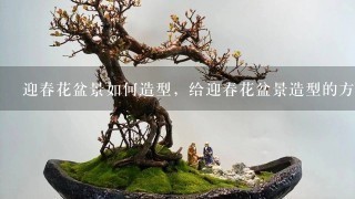 迎春花盆景如何造型，给迎春花盆景造型的方法有哪些？