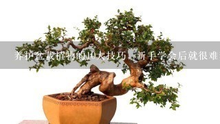 养护盆栽植物的10大技巧, 新手学会后就很难养死花了