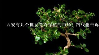 西安有几个批发花卉绿植的市场？路线也告诉我呀？