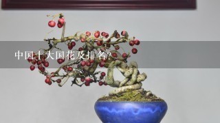 中国十大国花及排名？