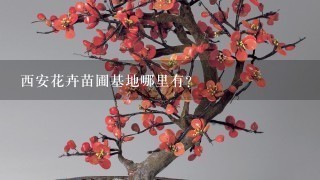 西安花卉苗圃基地哪里有？