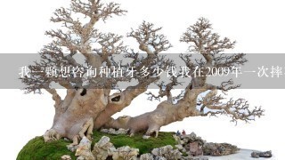 我1颗想咨询种植牙多少钱我在2009年1次摔在地板