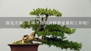 洛克王国。去哪里能收齐修剪盆栽的工具呢？