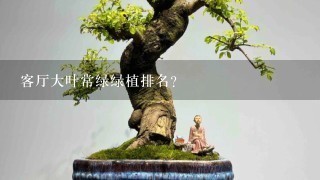 客厅大叶常绿绿植排名？