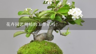 花卉园艺种植的工作累吗？