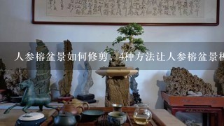 人参榕盆景如何修剪，4种方法让人参榕盆景极富意境