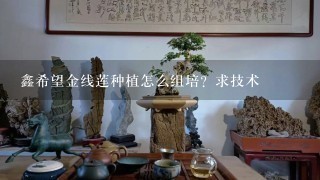 鑫希望金线莲种植怎么组培？求技术