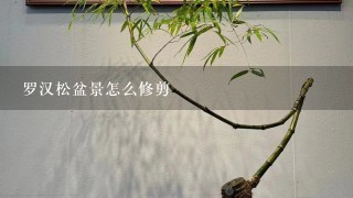 罗汉松盆景怎么修剪