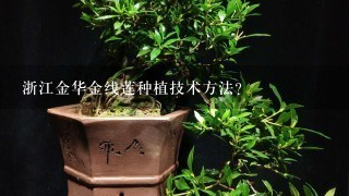 浙江金华金线莲种植技术方法？