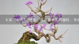 大家“穷养”5种花，花盆越小长得越旺，寿命还很长