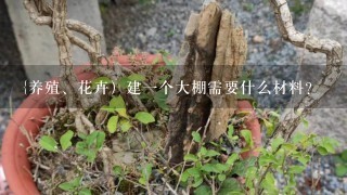 {养殖、花卉）建1个大棚需要什么材料？