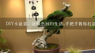 DIY小盆景，让绿色回归生活;手把手教你打造个性化小世界