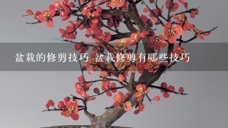 盆栽的修剪技巧 盆栽修剪有哪些技巧