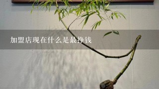 加盟店现在什么是最挣钱