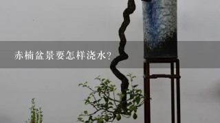 赤楠盆景要怎样浇水？