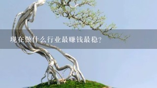 现在做什么行业最赚钱最稳？