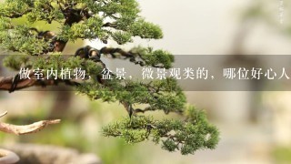 做室内植物，盆景，微景观类的，哪位好心人帮忙起个名字？