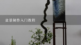 盆景制作入门教程