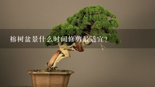 榕树盆景什么时间修剪最适宜？