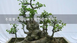 不需要太阳的水生植物4季常青？