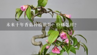 未来十年香菇种植前景，价格怎样？