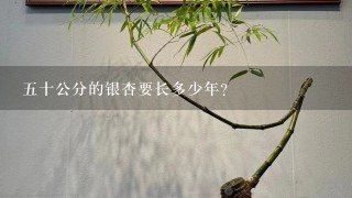 5十公分的银杏要长多少年？