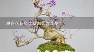 迎春花悬崖盆景怎么做造型？