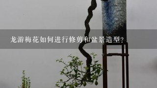 龙游梅花如何进行修剪和盆景造型？