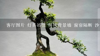 客厅图片 灯具吊顶 屏风背景墙 窗帘隔断 沙发效果图片