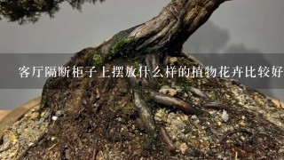 客厅隔断柜子上摆放什么样的植物花卉比较好？