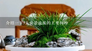 介绍1下5大盆景流派的主要树种