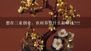 想在3亚创业，农村养殖什么最赚钱???