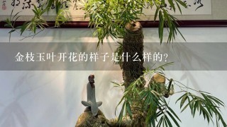 金枝玉叶开花的样子是什么样的？