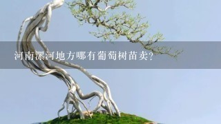 河南漯河地方哪有葡萄树苗卖？