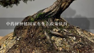 中药材种植国家有什么政策扶持