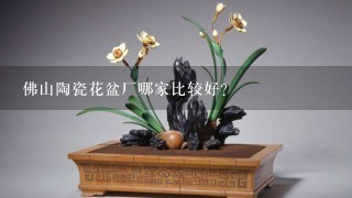 佛山陶瓷花盆厂哪家比较好？