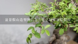 盆景假山造型图，怎么自己制作盆景假山